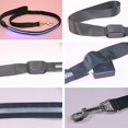 thumbnail image 2 of HAOAN Pet Dog Puppy Nylon Glow in the Dark Collar LED Light Soft Adjustable Neck Strap, 2 of 6