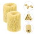 thumbnail image 4 of Milisten 50pcs Plant Hydroponics Germination Start Blocks Fertilizer Nutrient Blocks, 4 of 6