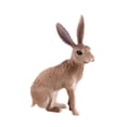 thumbnail image 2 of Figura de animal Macarena adorno decorativo escultura creativa PVC 4x2x6cm, 2 of 8