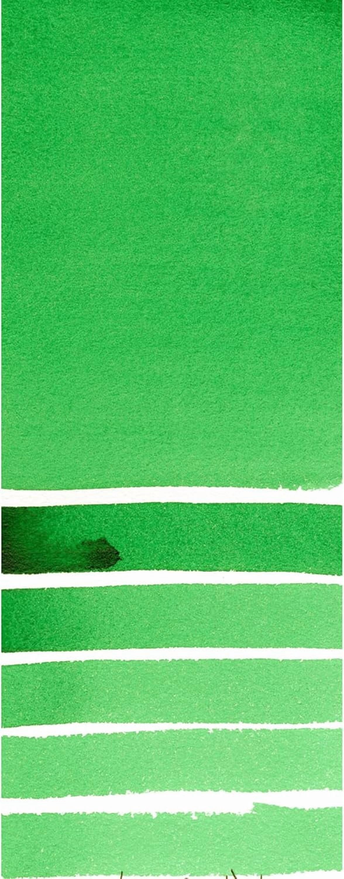 JJEAN-Daniel Smith Extra Fine Watercolor Paint, 15ml Tube, Phthalo Green (Yellow Shade), 284600079, 0.5 Fl Oz (Pack of 1)