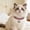 Pink, variant on FeiFu Bling Dog Necklaces for Small Dogs,Glitter Crystal Cats Collar,Pet Jewelry Female Puppy Collars with Bone Pendant Pet Collar