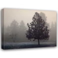 thumbnail image 1 of Vitaly Geyman 44x36 Gallery Wrapped Canvas Wall Art Titled - Silent Night, 1 of 4