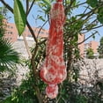 thumbnail image 5 of Decoraciones de Halloween Accesorios para exteriores e interiores - Scary Hallowmas Dead Victim Co, 5 of 5