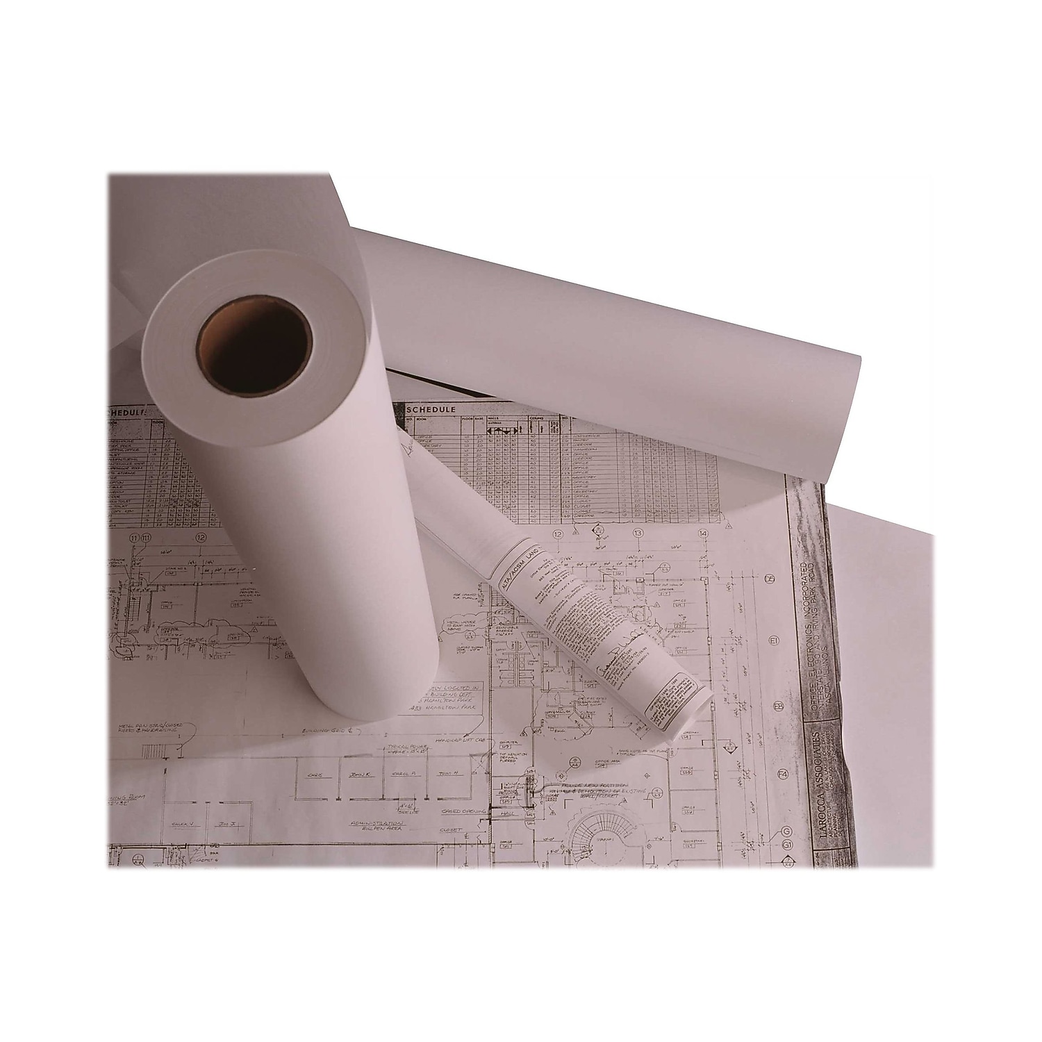 Staples Wide Format Engineering Paper Matte 24" x 500' 2/Carton (26659-CC)