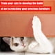 thumbnail image 5 of Cinta antiarañazos Cinta antiarañazos Cinta transparente de doble cara para adiestramiento de gatos Xemadio LL-0533-2, 5 of 7
