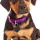 thumbnail image 4 of unbranded 6Ud Placas Para Mascotas Redondas De Inoxidable Para Grabado Identificación, 4 of 8