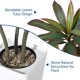 thumbnail image 2 of QinaQin Árbol artificial Dracaena de 4, 5 o 6 pies, hojas real touch y troncos multitonales, con maceta blanca alta para decoración interior, 2 of 8