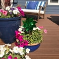 thumbnail image 2 of In the Breeze 2709 — Green Mylar Pinwheels - Sparkly Green Spinners - Great Party Favor or Decoration - 8 Piece Bags, 2 of 4