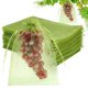 thumbnail image 1 of 100 Uds bolsas de protección de frutas 8x12 pulgadas, bolsas de cubierta de red verde protectores de frutas de malla con cordón barrera de plagas para uvas Mango, 1 of 5