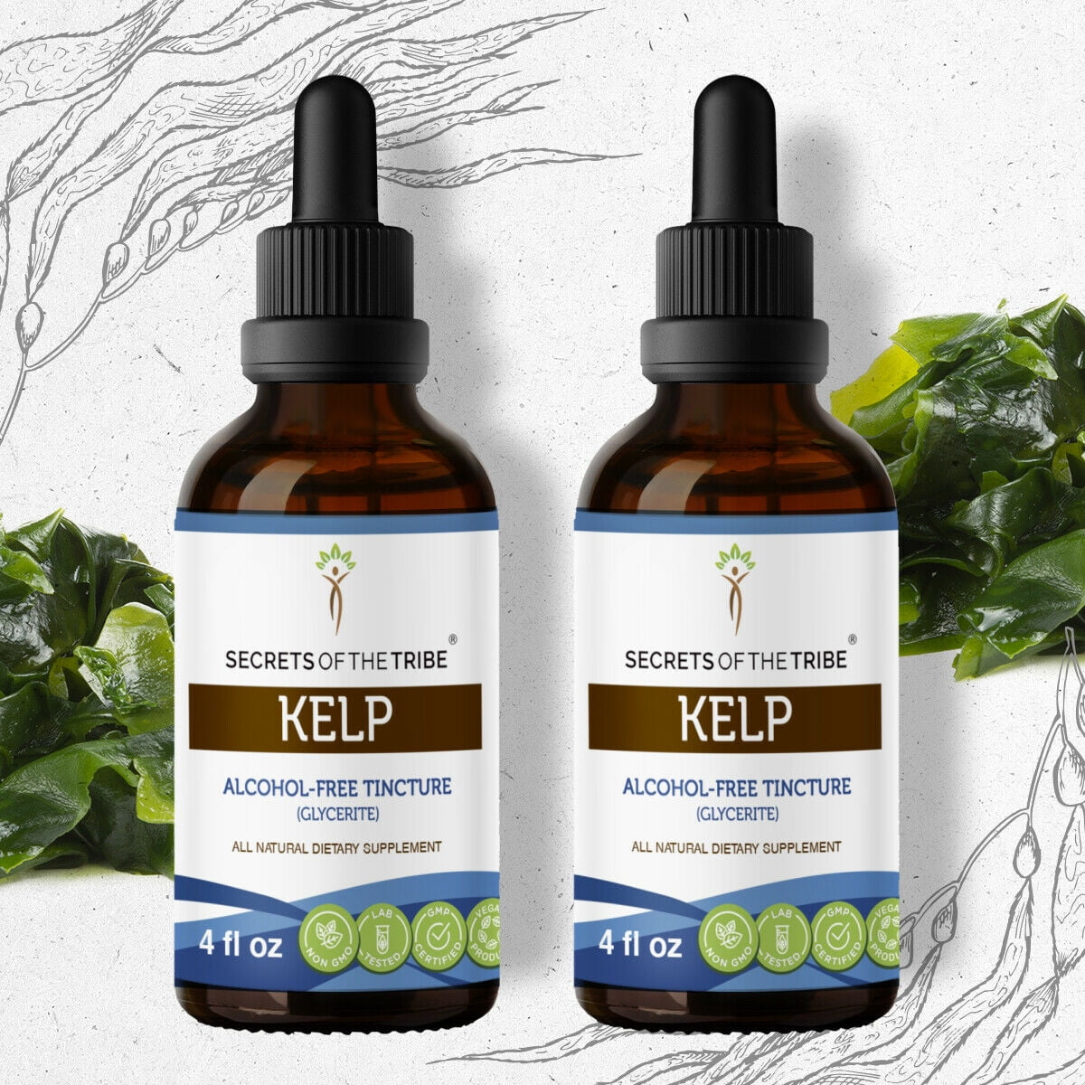 Kelp Tincture AlcoholFREE Extract, Organic Kelp