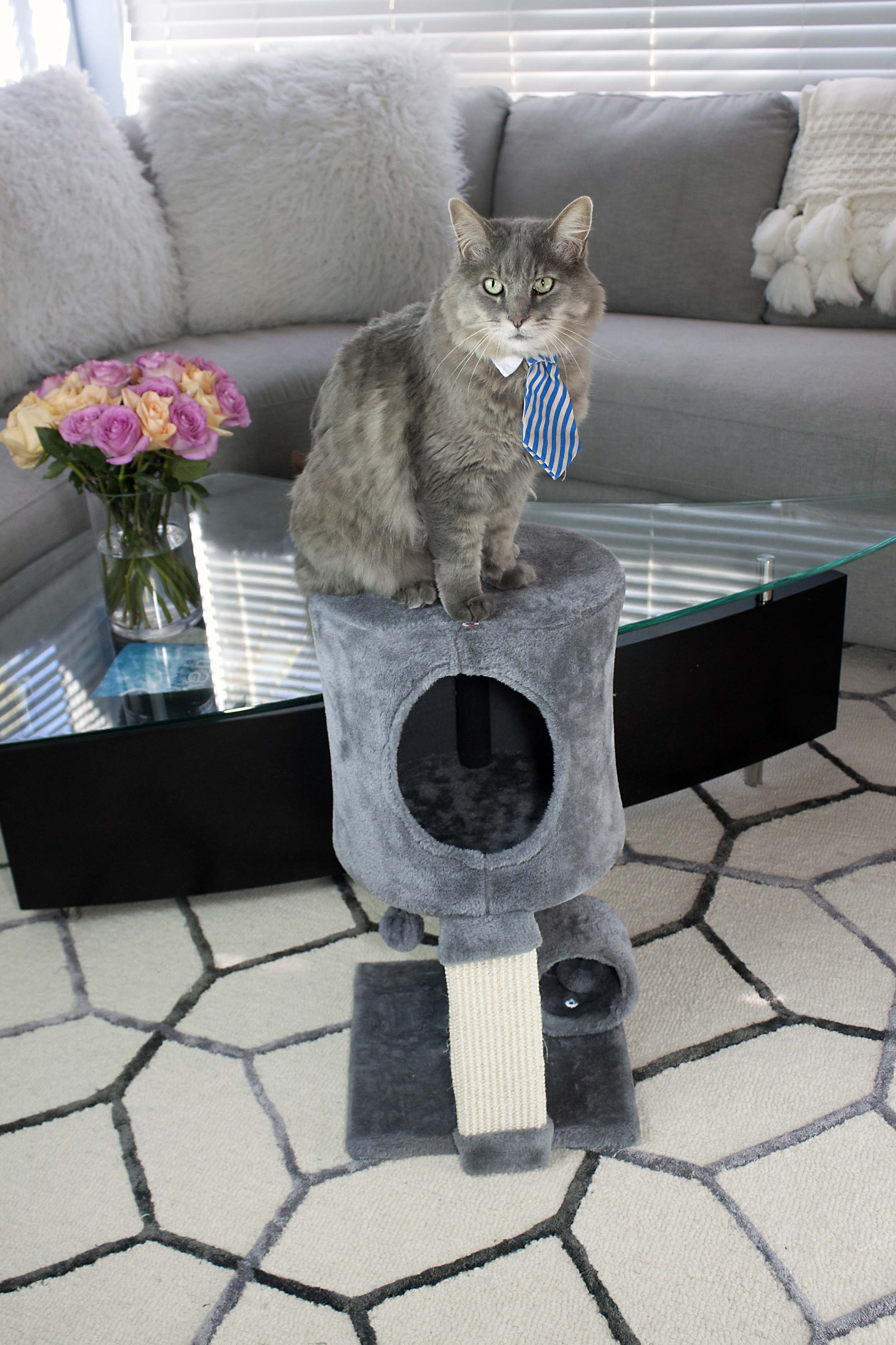 Cat Craft 23-in Cat Tree & Condo Scratching Post Tower, Gray - image 4 of 6