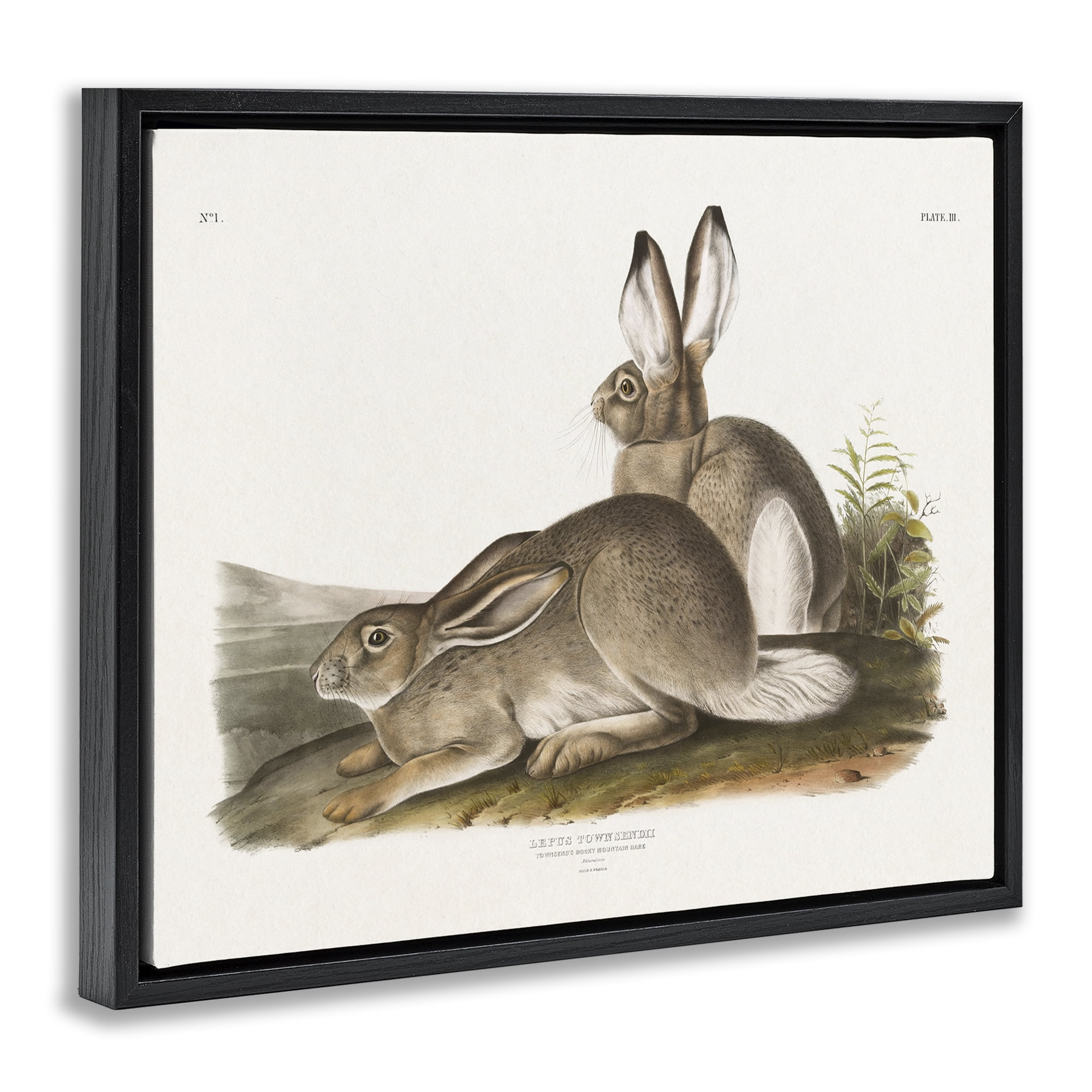 Stupell Industries Traditional Cottage Hare Animals & Insects Painting Black Floater Framed Canvas Art Print Wall Art, 21 x 17