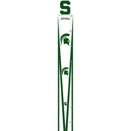 Msu stock options