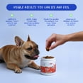 thumbnail image 3 of Coco and Luna Urinary Tract Cranberry for Dogs - 90 Soft Chews, 3 of 9
