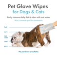 thumbnail image 3 of Toallitas de guantes Petkin para perros y gatos, 30 toallitas, 3 of 6