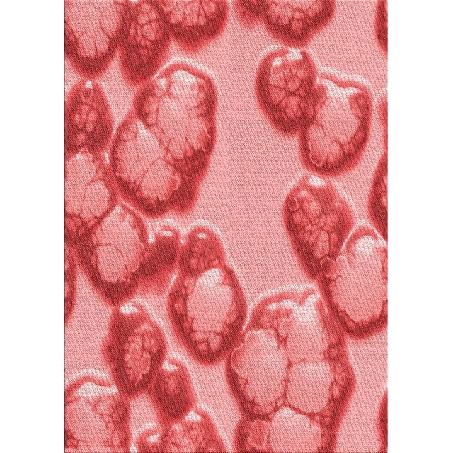 Ahgly Company Tapis d'Intérieur Lavables en Machine, Rectangle de Transition Rose Corail Clair, 6' x 9'