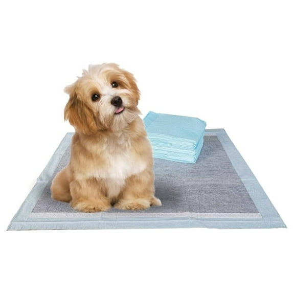 Pet Potty Training Pads for Dogs, Puppy Training Pad Pee Pads, Charcoal Training Pads for Dogs and Puppies