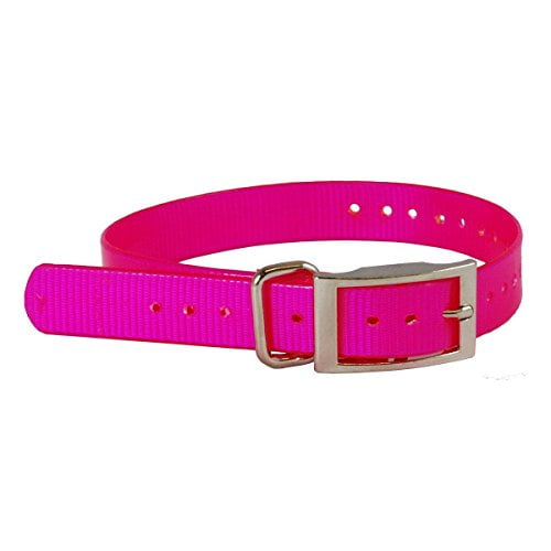 The Buzzard's Roost Collar Strap-Color:Pink,Size:1x24