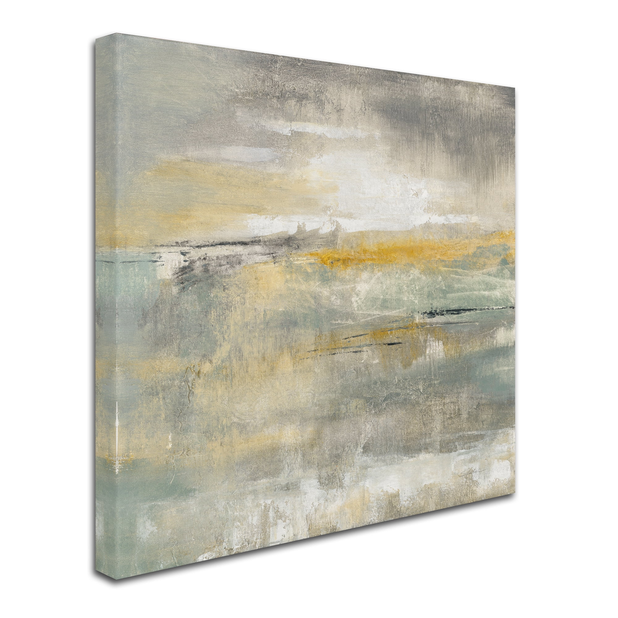 Trademark Fine Art 'February Sky' Canvas Art by Silvia Vassileva