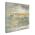 thumbnail image 2 of Trademark Fine Art 'February Sky' Canvas Art by Silvia Vassileva, 2 of 3