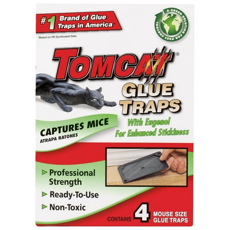 Tomcat Mouse Glue Trap w/Eugenol (Best Place To Put A Mouse Trap)