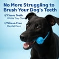 thumbnail image 4 of Dual-Action Canine Dental Prop, Dog Dental Chew Toy for Easier Teeth Brushing, Pet Oral Care for Small, Medium and Large Dogs (2pcs), 4 of 9