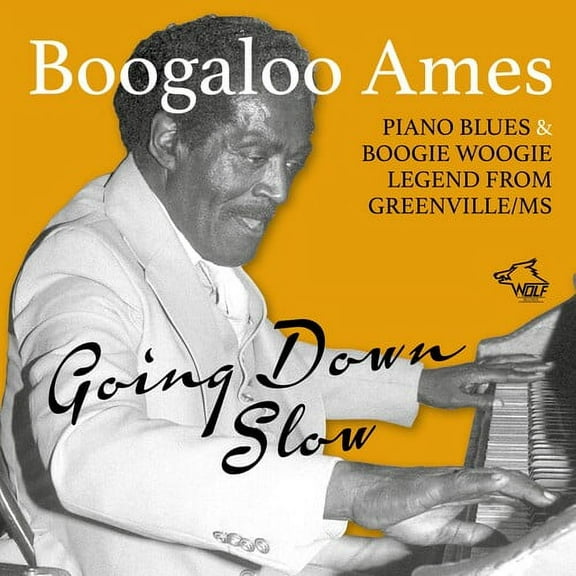 Ames Boogaloo - Going Down Slow - Music & Performance - CD