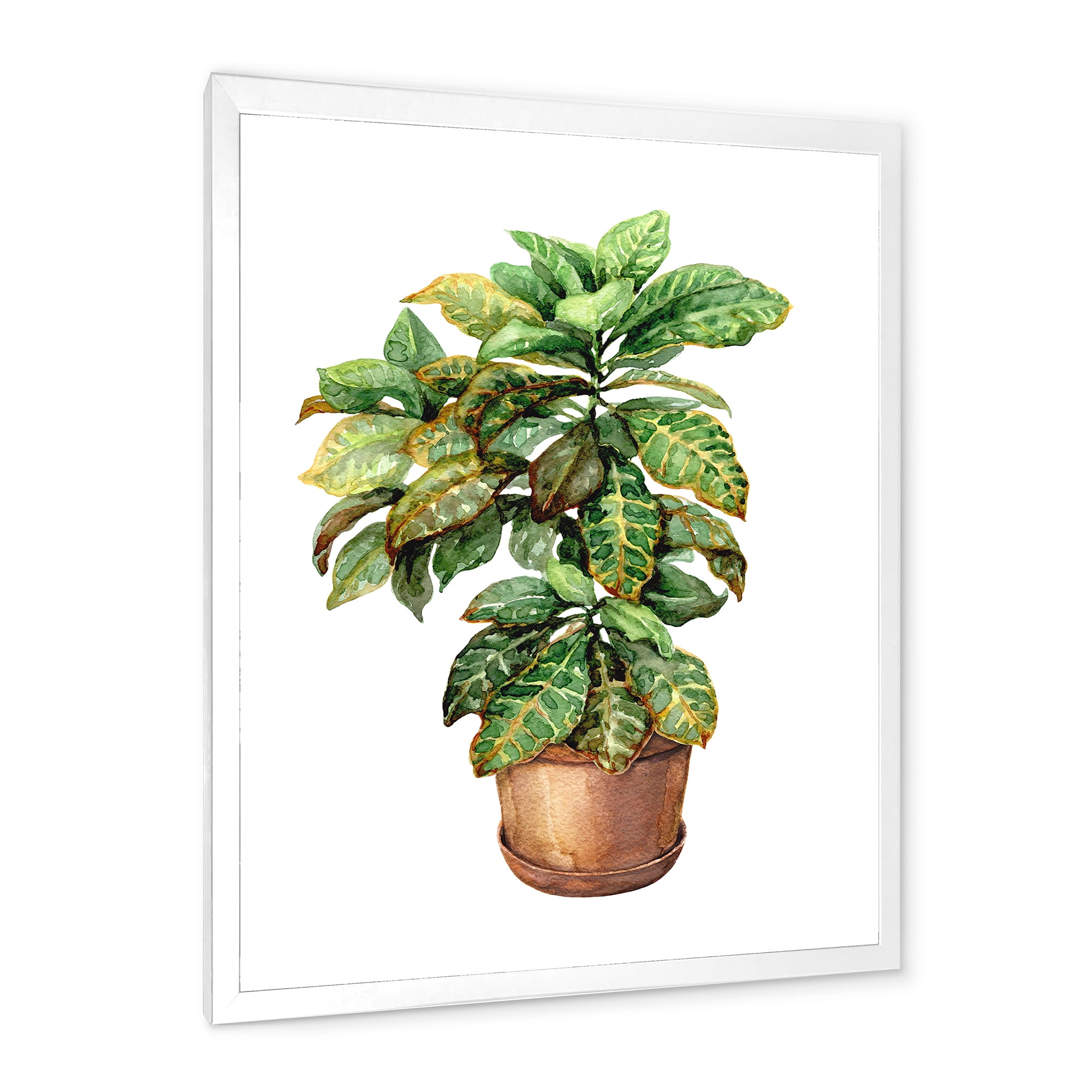 Designart 'Green Croton In Clay Flowerpot' Traditional Framed Art Print