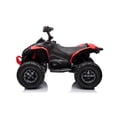 thumbnail image 2 of Licensed 24V Can Am Maverick Renegade 1-Seater Kids Ride On ATV, 2 of 5
