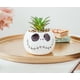 thumbnail image 2 of Planta decorativa artificial con vegetación artificial Silver Buffalo, 2 of 7