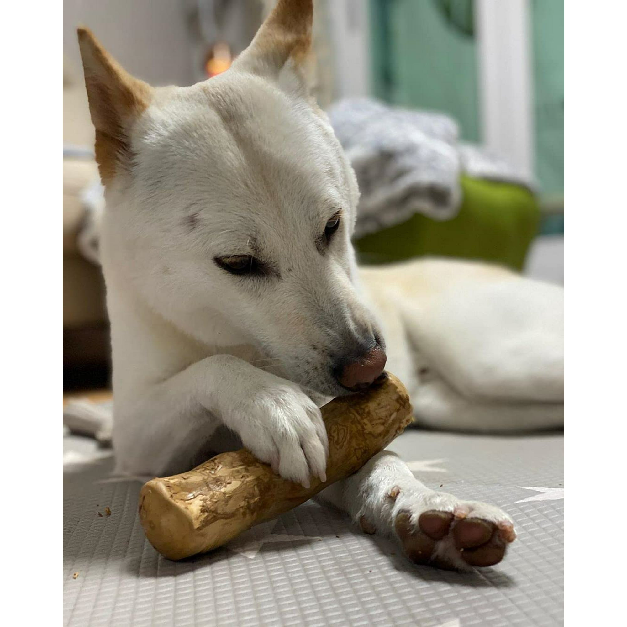 FFIY WoofWood Dog chew Sticks Safe Natural Healthy chew Toys Real Coffee Wood Long Lasting Durable chewable Stick chew bones for small dog