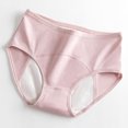 thumbnail image 1 of Leakproof Ladies Underwear - Leakproof Panties for Over 60#s Incontinence, 1 of 4