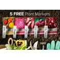 thumbnail image 4 of Beet Seeds For Planting | 5 Variety Pack, 4 of 7