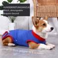 thumbnail image 2 of Ropa de rehabilitación quirúrgica anti lamido para perros Ropa protectora Lesiones abdominales Collar E reemplaza la ropa quirúrgica para gatos Animales domésticos, 2 of 5