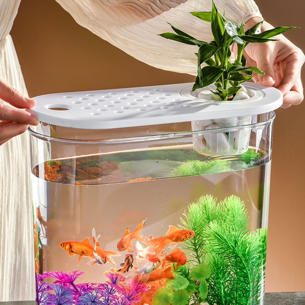 FishTank Hydroponics Desktop Plant Terrarium Desktop Clear Table Fish Bowl Desktop Aquarium Aquaponic Planter Tanks