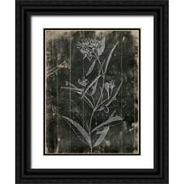Grey, Jace 12x14 Black Ornate Wood Framed with Double Matting Museum Art Print Titled - Wood Floral