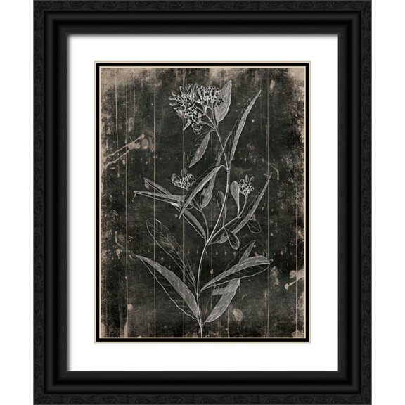 Grey, Jace 12x14 Black Ornate Wood Framed with Double Matting Museum Art Print Titled - Wood Floral