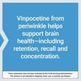 thumbnail image 4 of Life Extension Vinpocetine, derived from periwinkle plant, concentration and memory, gluten-free, non-GMO, vegetarian, 100 tablets, 4 of 7