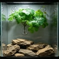 thumbnail image 4 of FUTUREORYY Con Ventosa Para Reptiles Ideal Para Ambientes De Hábitat Y Escalada, 4 of 6