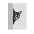 thumbnail image 6 of Yayeee Garden Flag 12" x 18" Double Sided Outdoor Yard Lawn Holiday Decorations, Black Cute Cat, 6 of 6