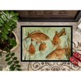 thumbnail image 3 of Red Fish Swim Doormat 18x27, 3 of 4