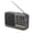 Black, variant on Bluetooth 5.0 FM Radio Portable Speaker with LED Light Support Recording TF Card USB Play Wireless Speaker Radio FM Receiver
