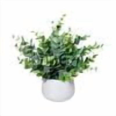 H/Green
