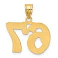 thumbnail image 3 of 14k Yellow Gold Polished Etched Finish Number 67 Charm Pendant, 3 of 4