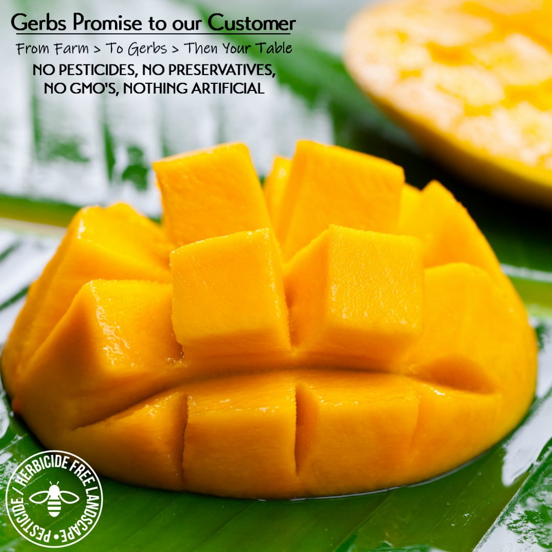 GERBS Dried Mango Cubes 2 lbs | Freshly Dehydrated Resealable Bulk Bag | Top Food Allergy Free | Sulfur Dioxide Free Diced Mangoes | Gluten & Peanut Free