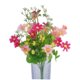 thumbnail image 4 of VERDANVERSE Flor Artificial Cineraria En Ramo Para De Hogar Y Oficina Color Rosado Y Multicolor, 4 of 5