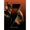 thumbnail image 4 of Perfume Carolina Herrera Bad Boy Elixir 50 ml para Hombre, 4 of 8