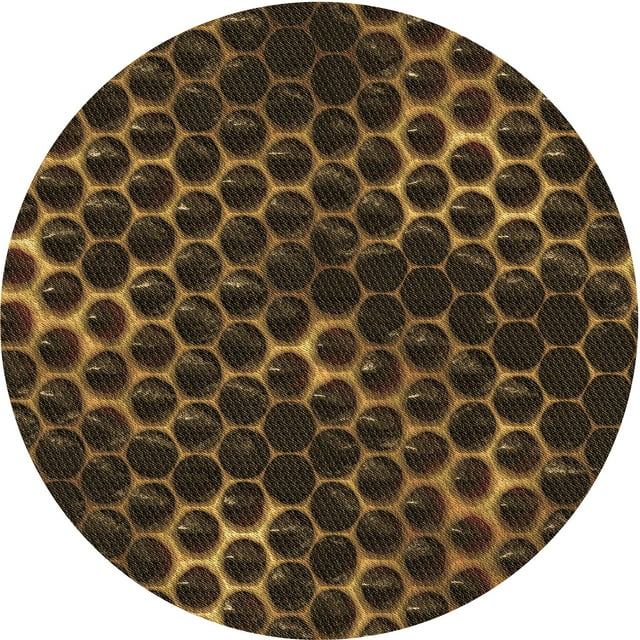 Ahgly Tapis de Zone Carré Transitionnel Lavable en Machine, 3 Pieds Carré