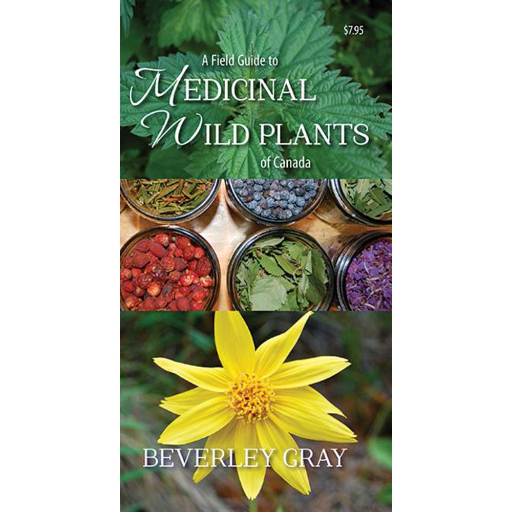 A Field Guide to Medicinal Wild Plants of Canada
