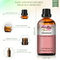 thumbnail image 2 of PHATOIL 30ml/1.01 fl.Oz Geranium Essential Oils for Diffusers Humidifier 100% Pure Natural Aromatherapy Massage Bath Sleep Relaxation, 2 of 7